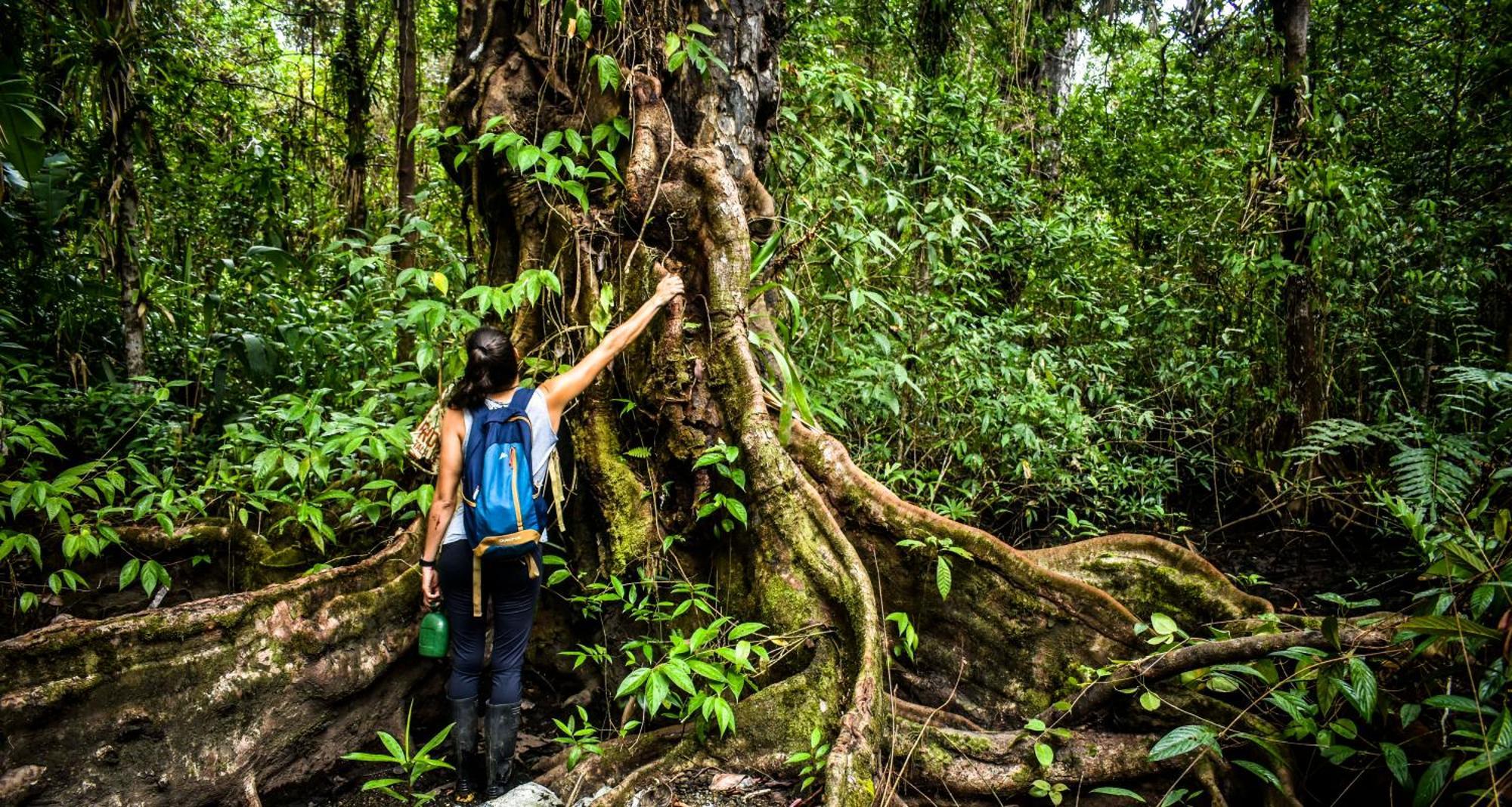 Jardin Botanico Del Pacifico Y Mecana Ecohotel Bahia Solano Ngoại thất bức ảnh