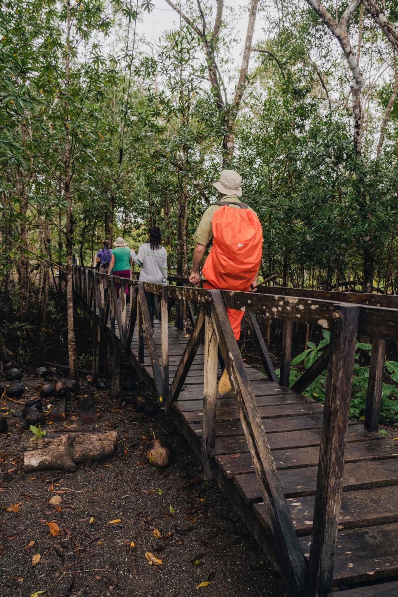 Jardin Botanico Del Pacifico Y Mecana Ecohotel Bahia Solano Ngoại thất bức ảnh