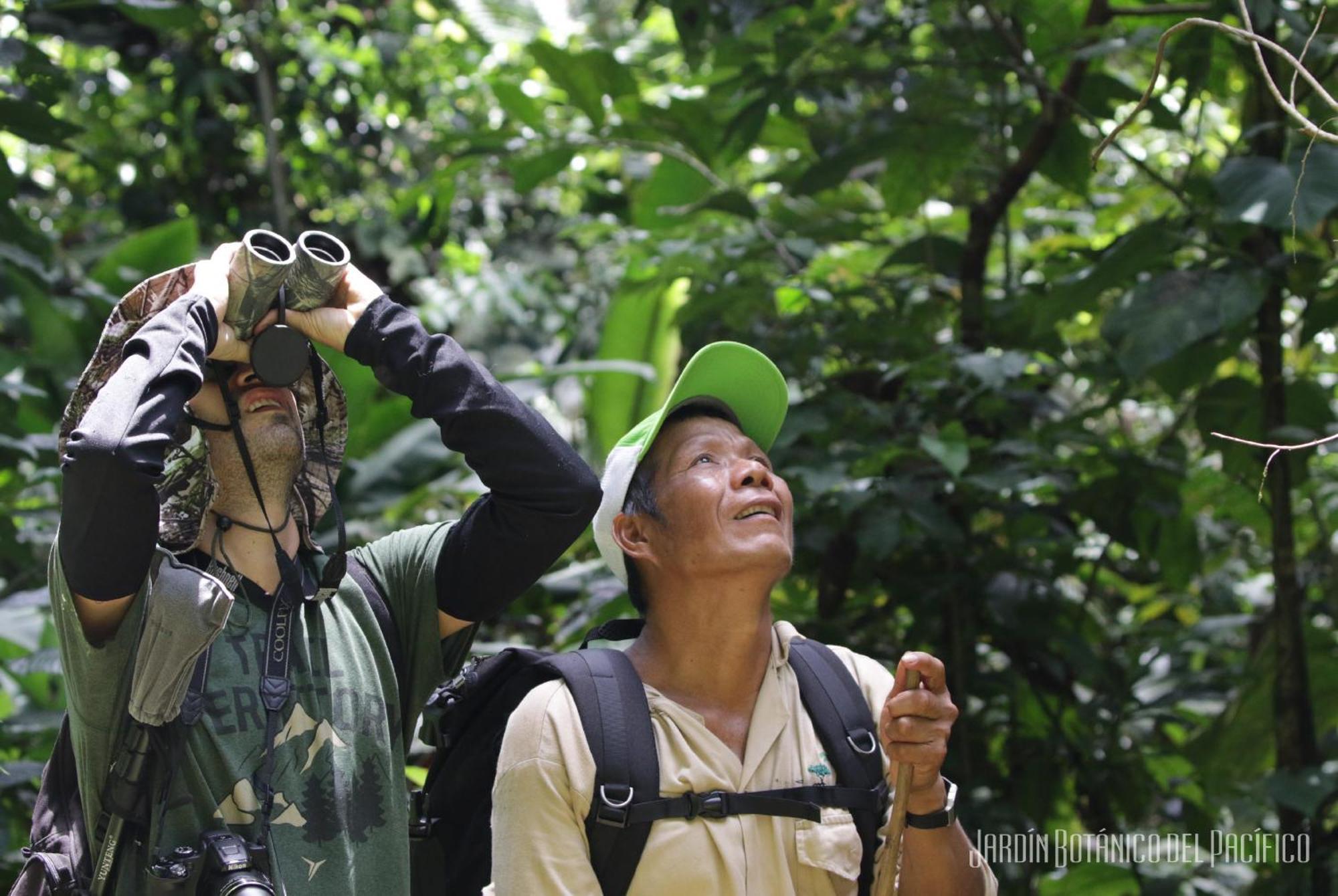 Jardin Botanico Del Pacifico Y Mecana Ecohotel Bahia Solano Ngoại thất bức ảnh