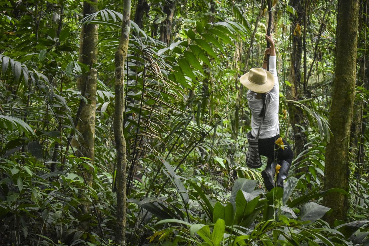 Jardin Botanico Del Pacifico Y Mecana Ecohotel Bahia Solano Ngoại thất bức ảnh